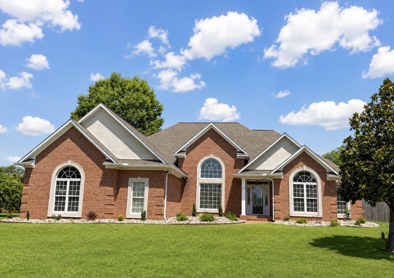 9 Barrymore CV — photo