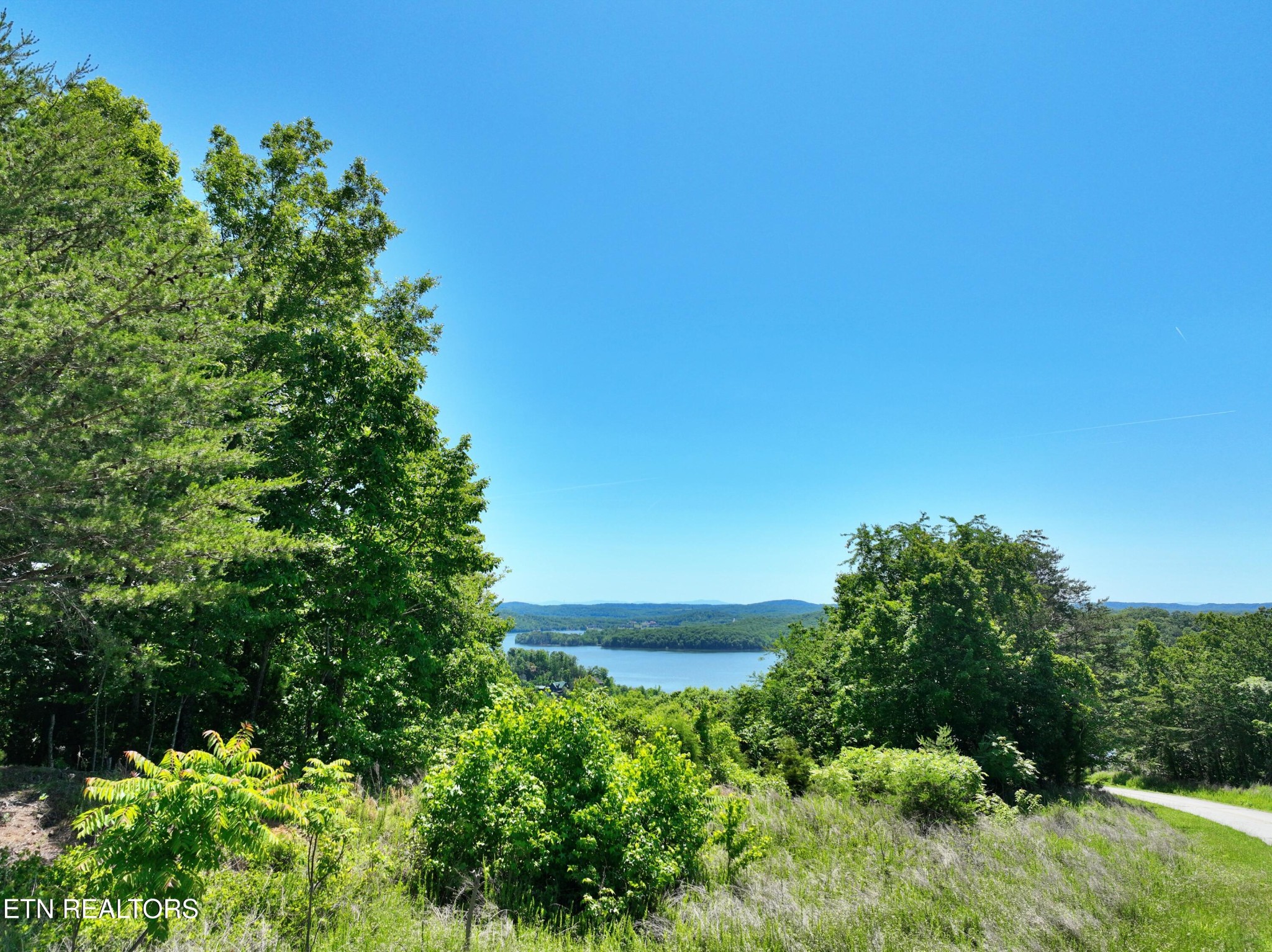 0 Flint Ridge Road, Rockwood, TN 37854