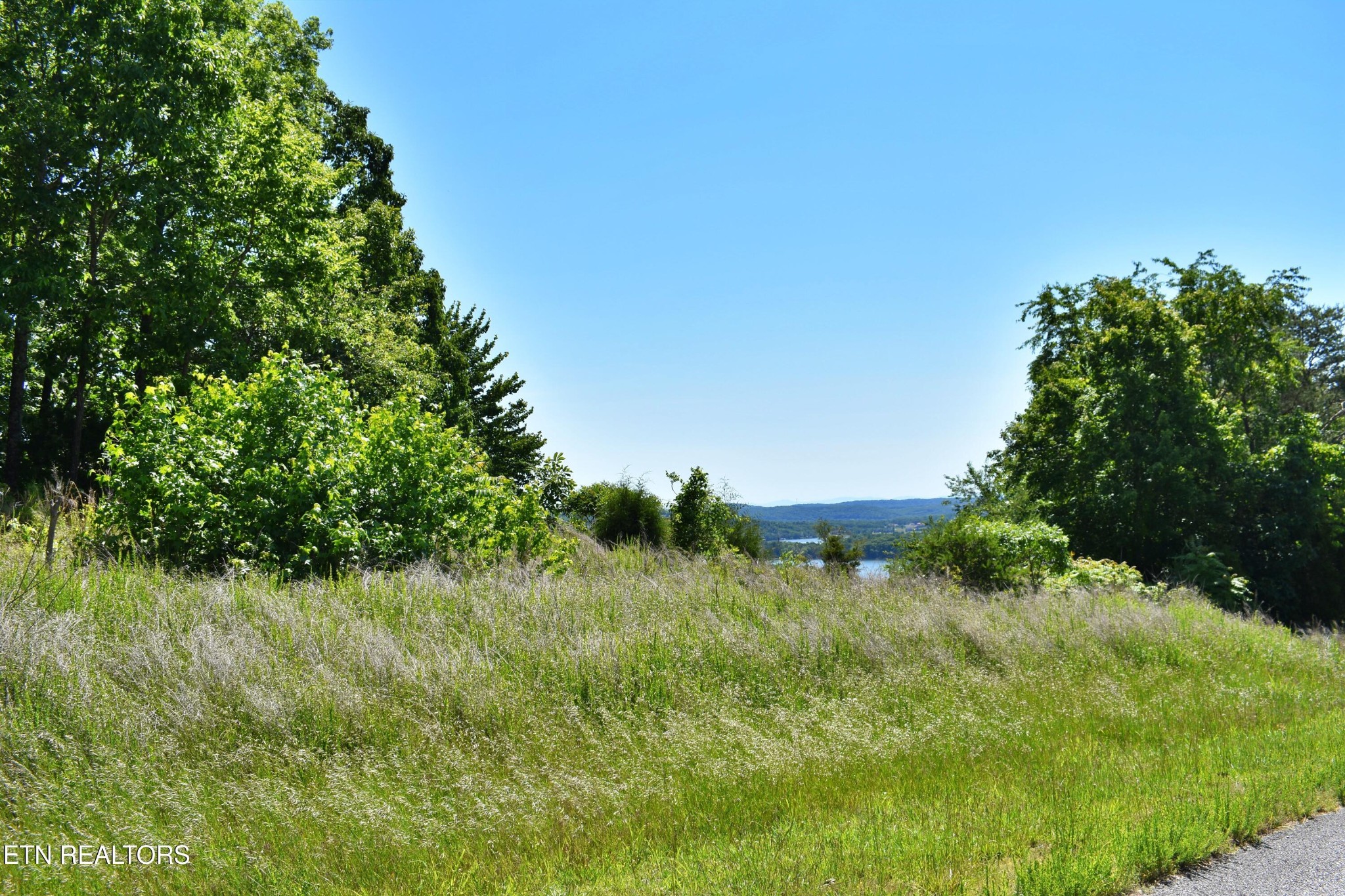 0 Flint Ridge Road, Rockwood, TN 37854 — photo 2