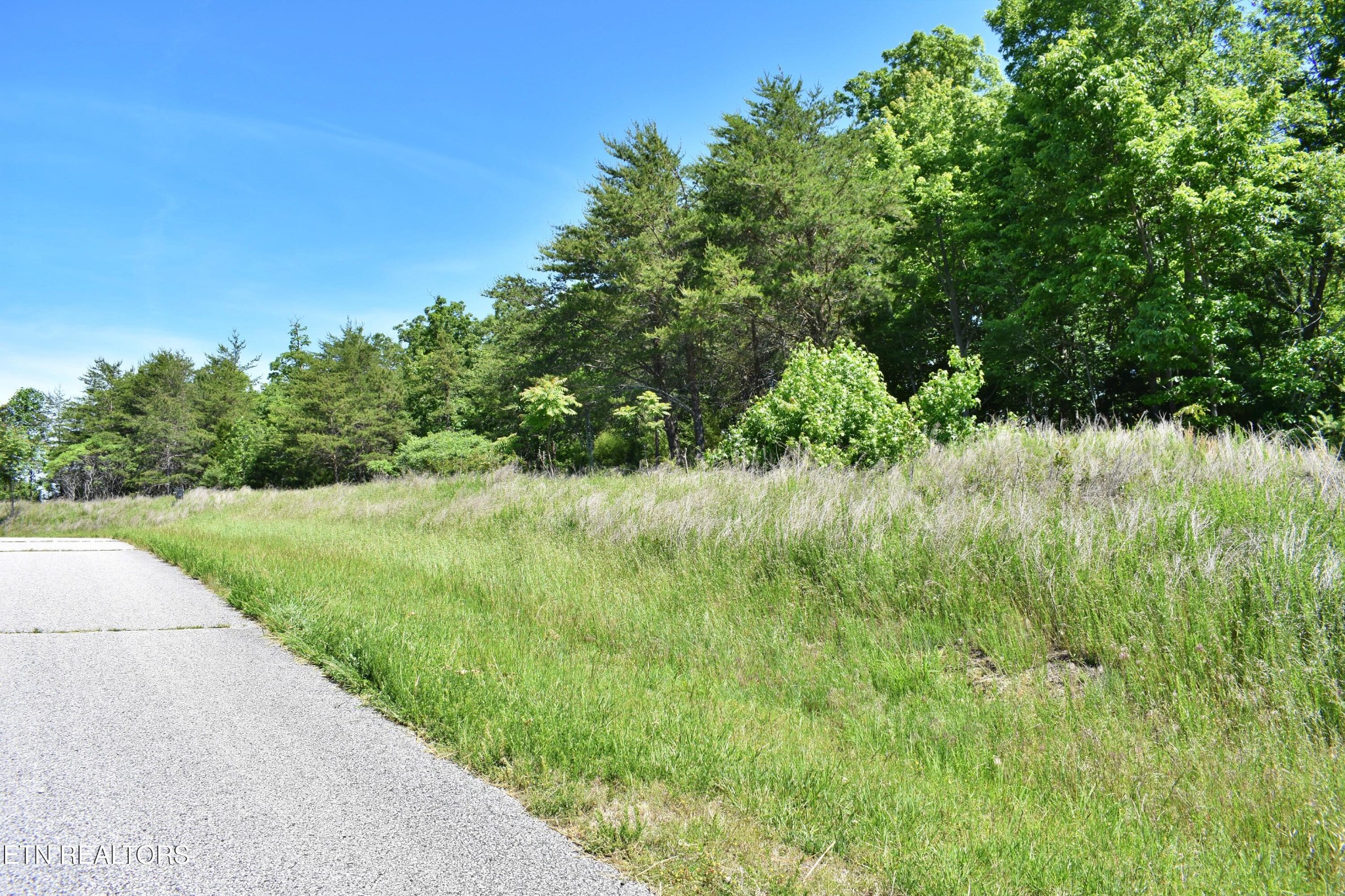 0 Flint Ridge Road, Rockwood, TN 37854 — photo 3