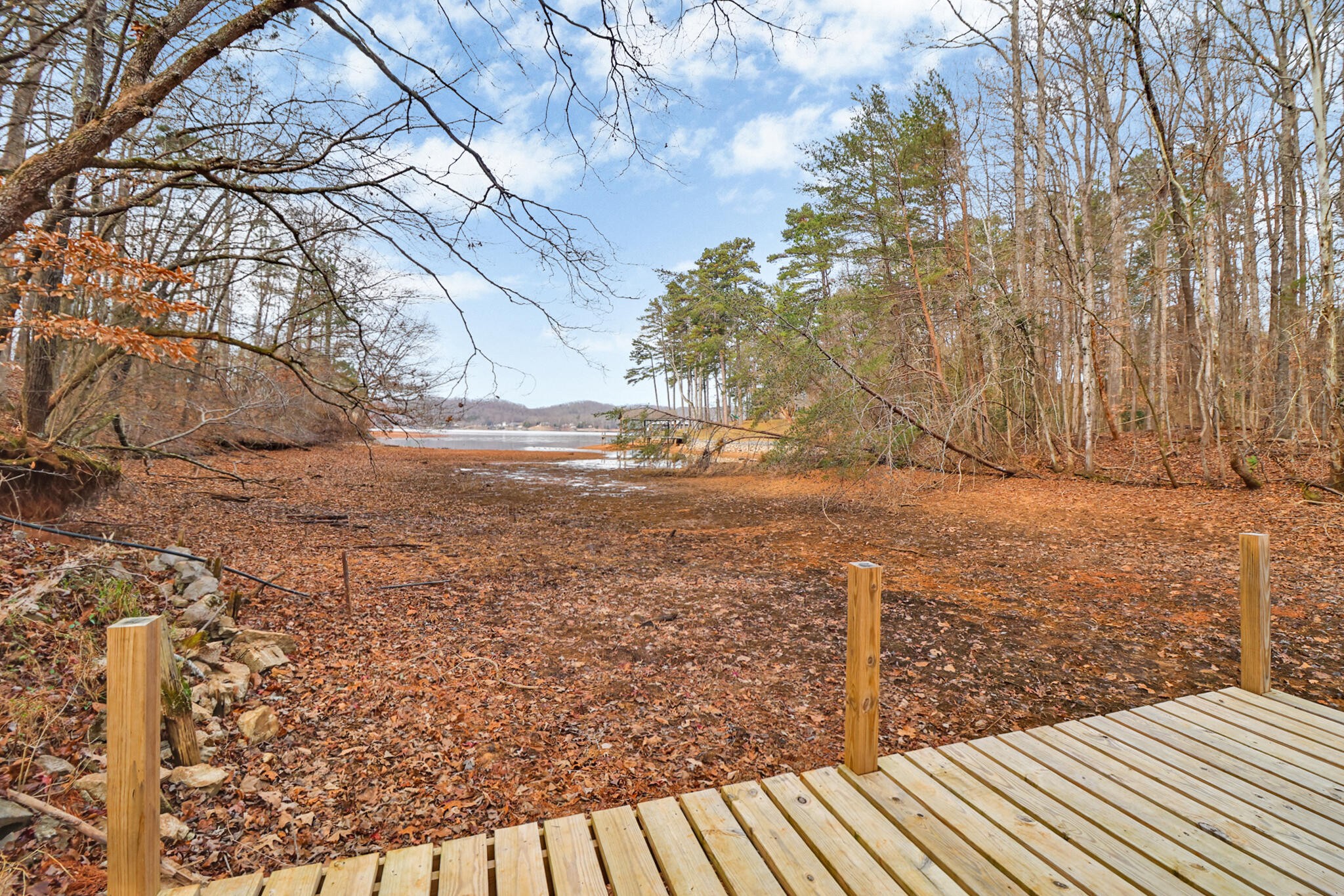 1325 Torbett Road, Spring City, TN 37381 — photo 3