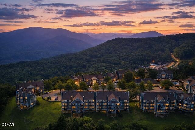 1260 Ski View Drive 1306 — photo