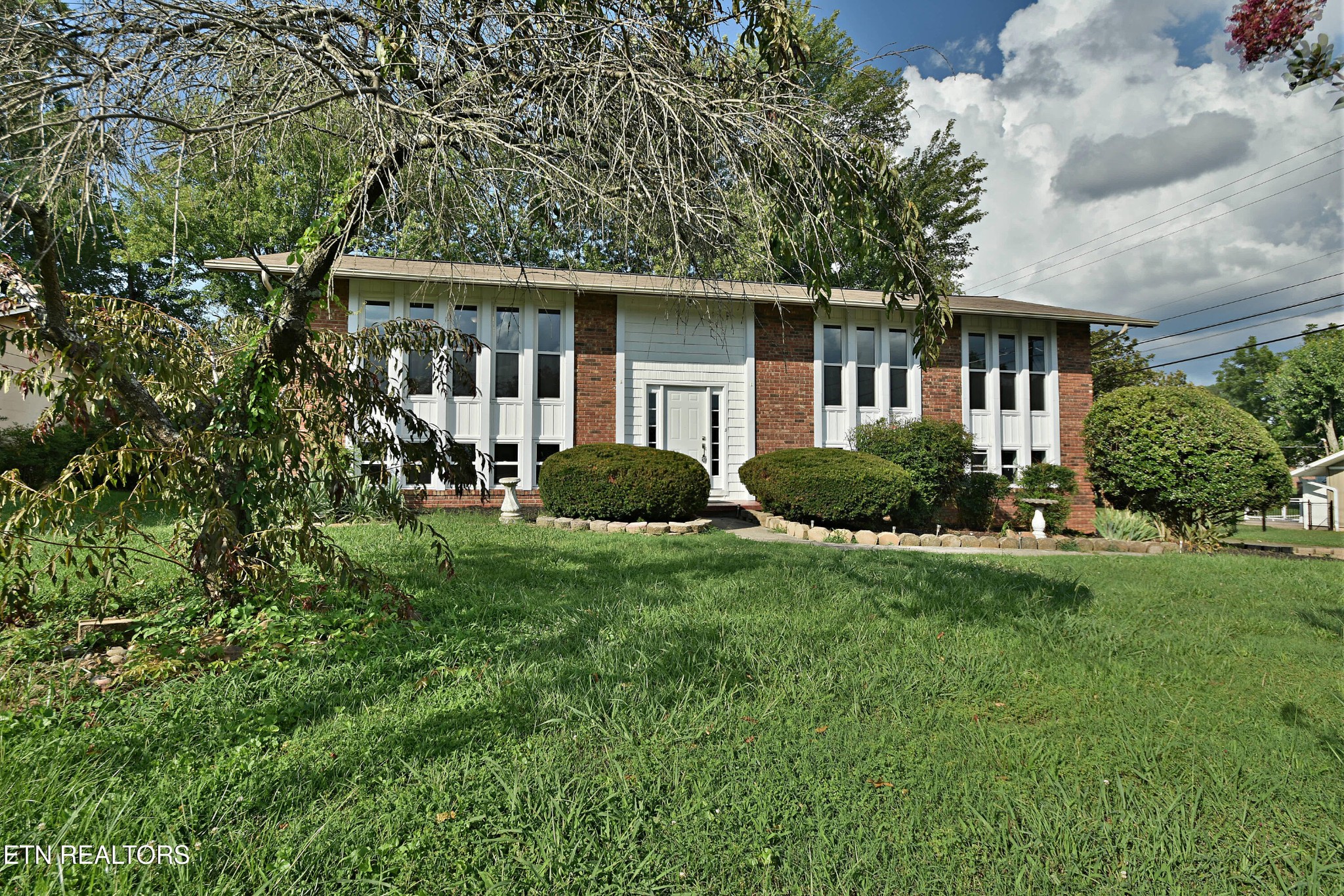 7704 Whitcomb Road, Powell, TN 37849 — photo 3
