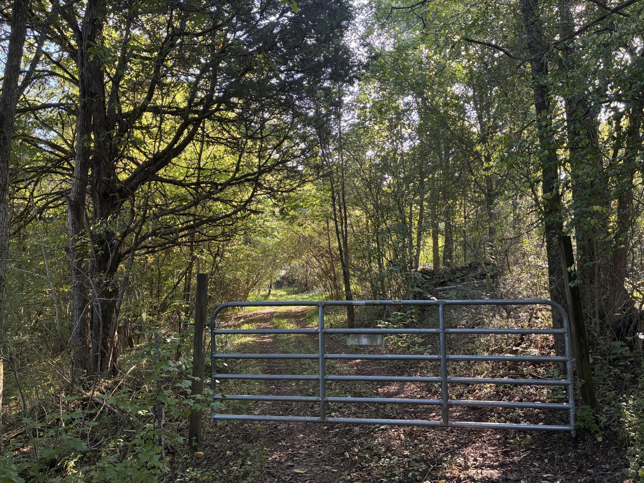 0 County Road 675, Riceville, TN 37370 — photo 2