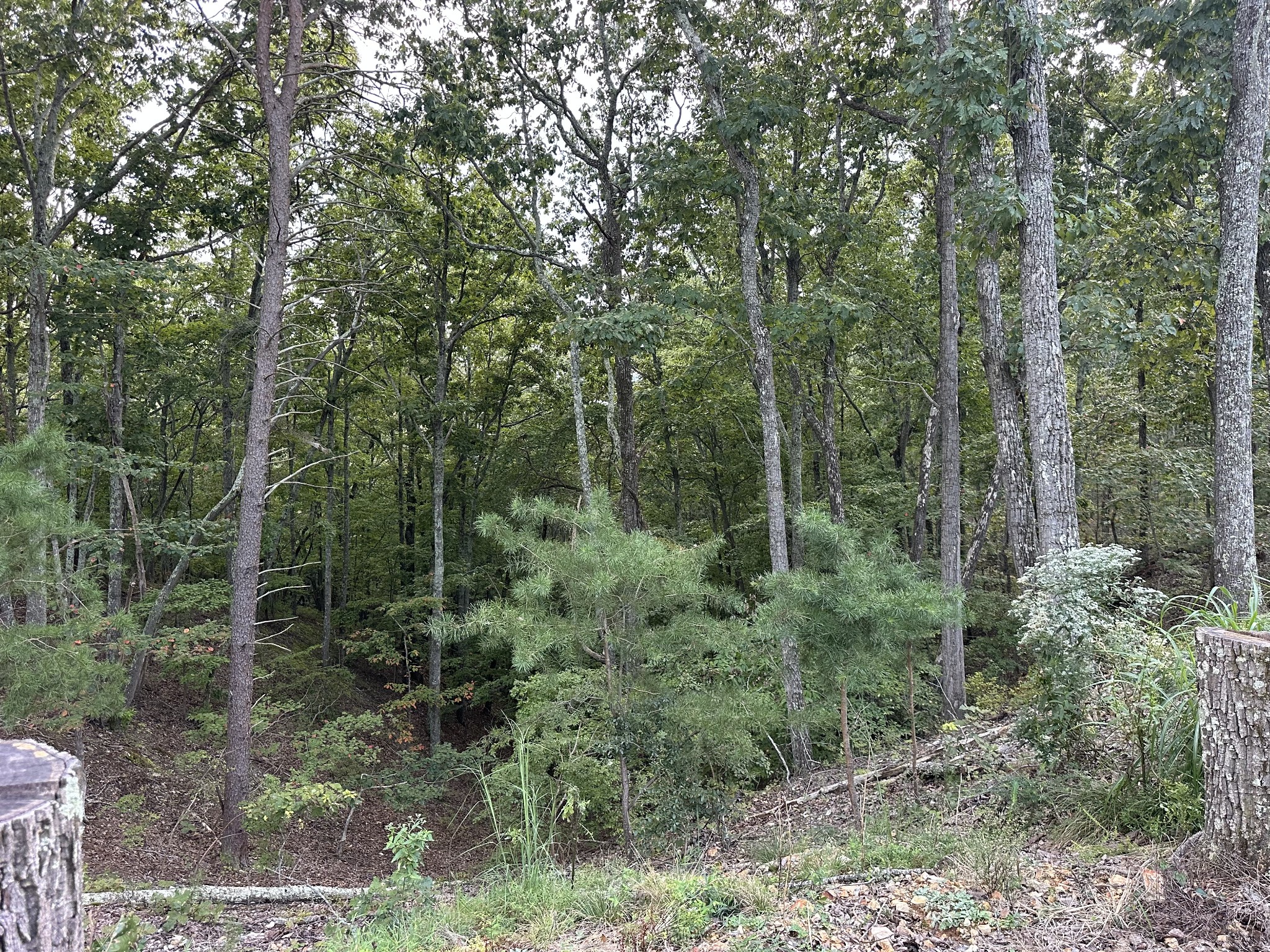 132 Eagle View Drive, Dover, TN 37058 — photo 3