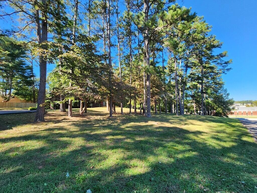 395 River Road, Decatur, TN 37322 — photo 3
