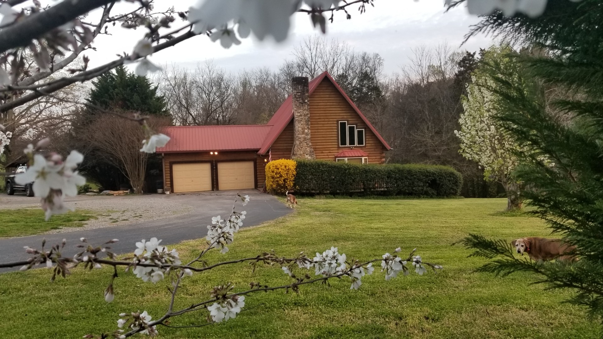 598 County Road 405 — photo