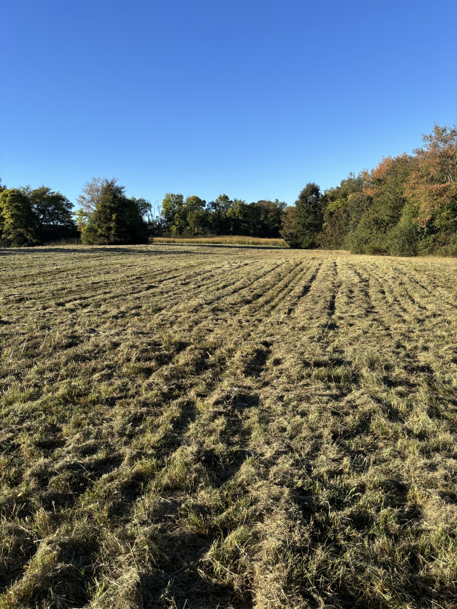 422 Beechcroft Road, Spring Hill, TN 37174