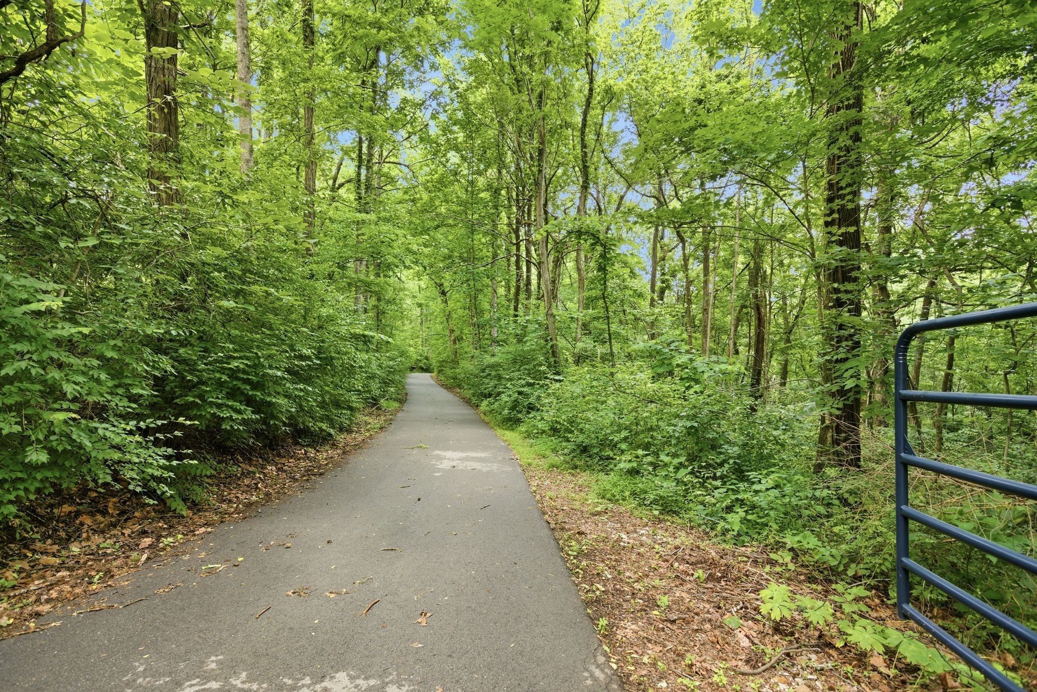 1828 Sugar Ridge Road, Spring Hill, TN 37174 — photo 2