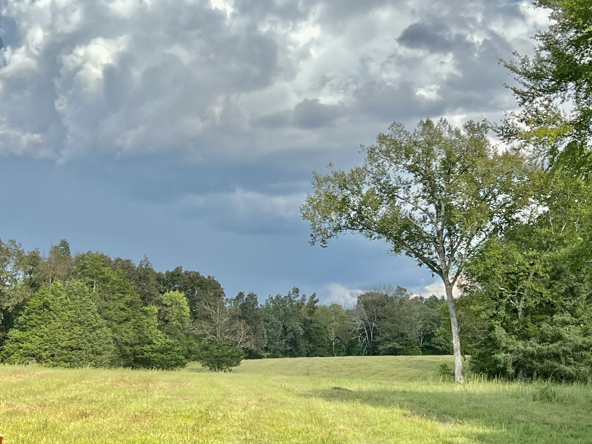 4840 Joe Peay Road, Spring Hill, TN 37174 — photo 2