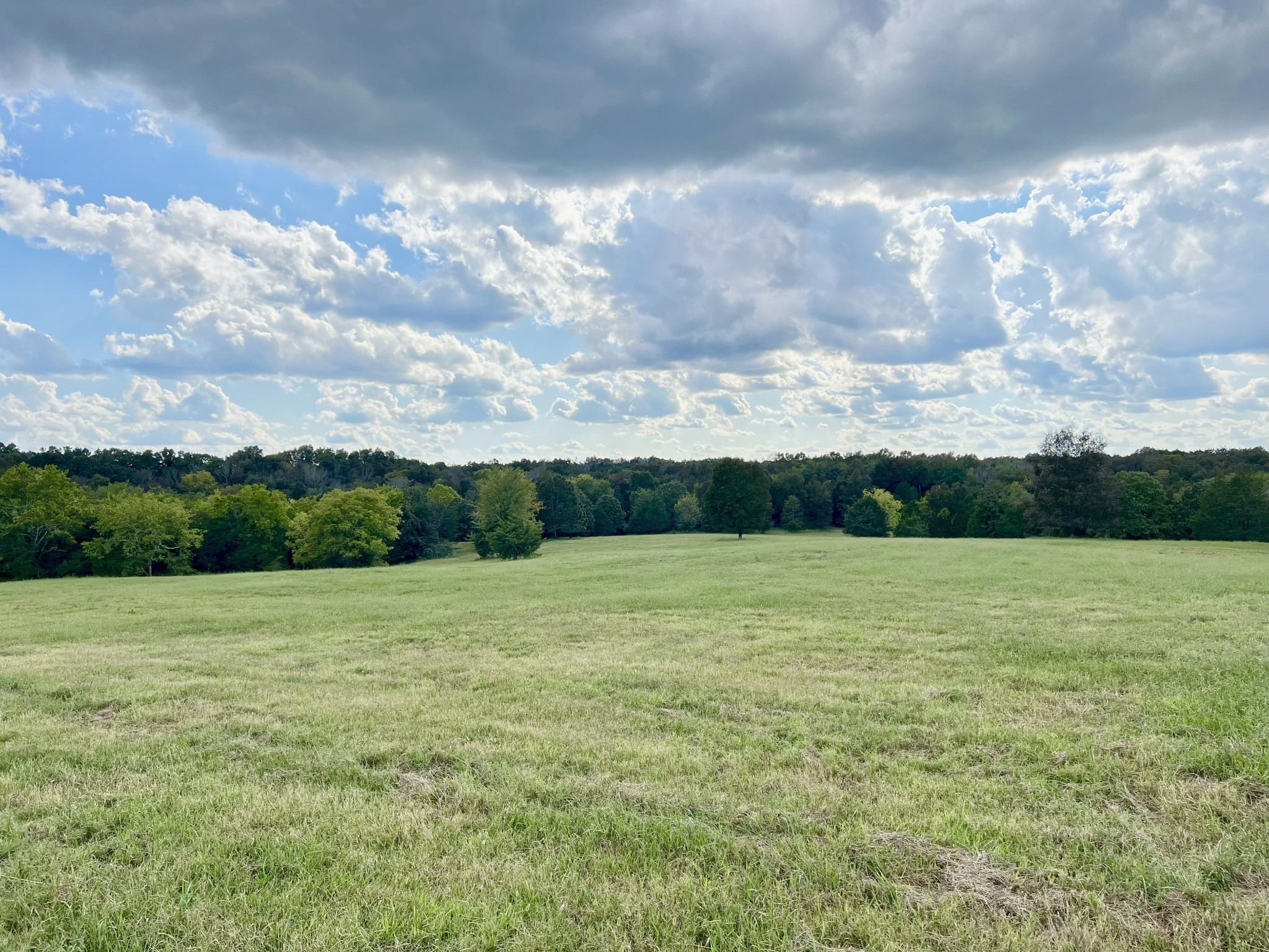 4840 Joe Peay Road, Spring Hill, TN 37174 — photo 3
