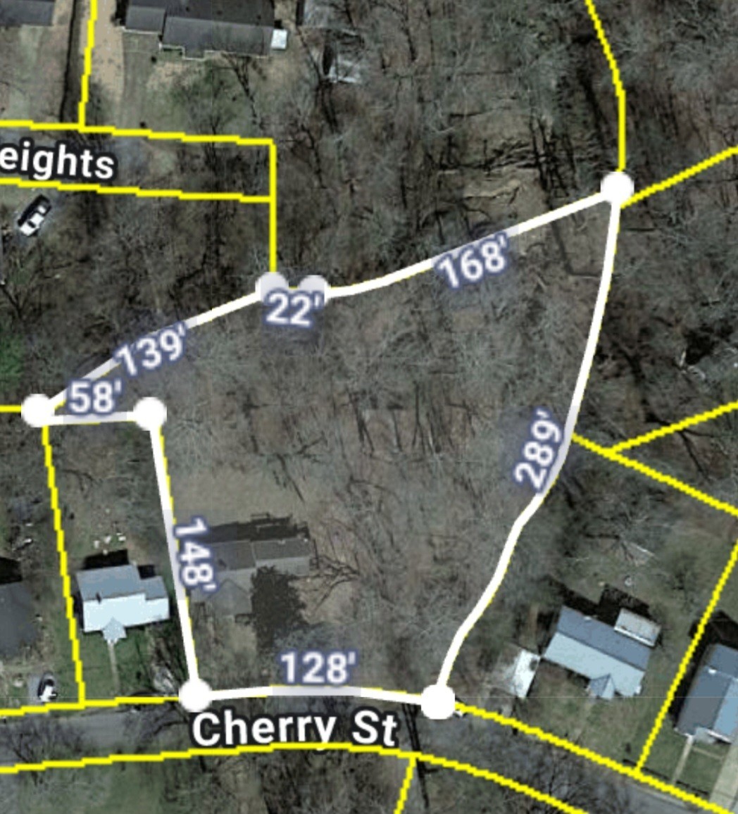 110 Cherry Street, Centerville, TN 37033 — photo 3