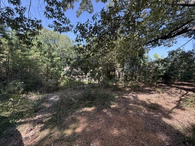 6555 Rabbit Creek Road, Buchanan, TN 38222 — photo 2