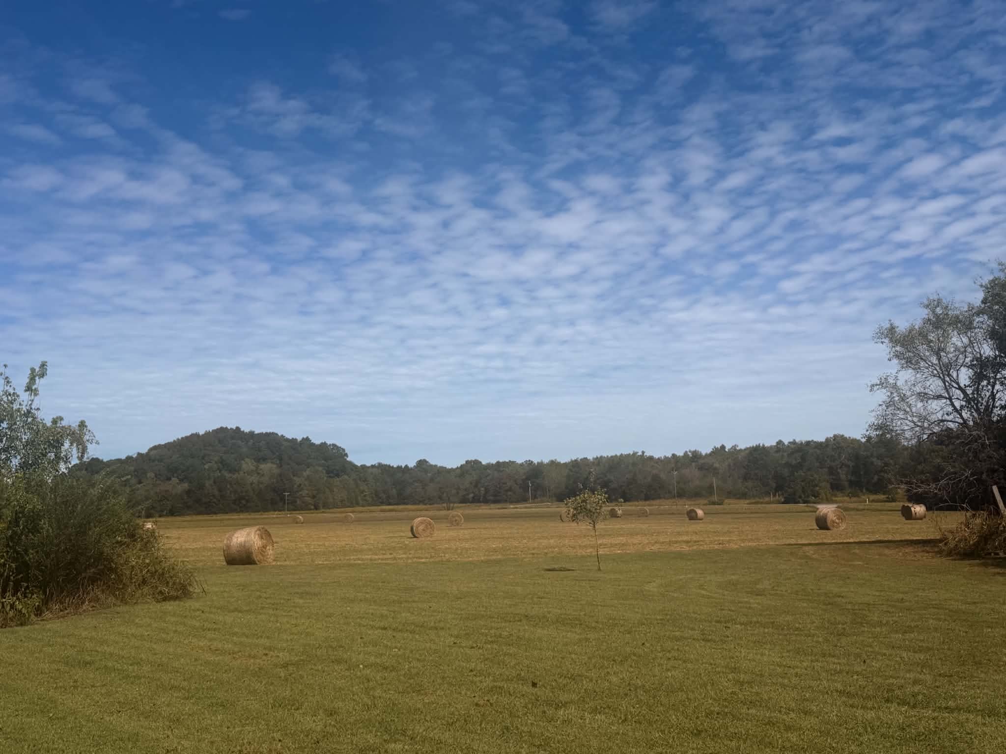 261 Bee Road, Prospect, TN 38477 — photo 2