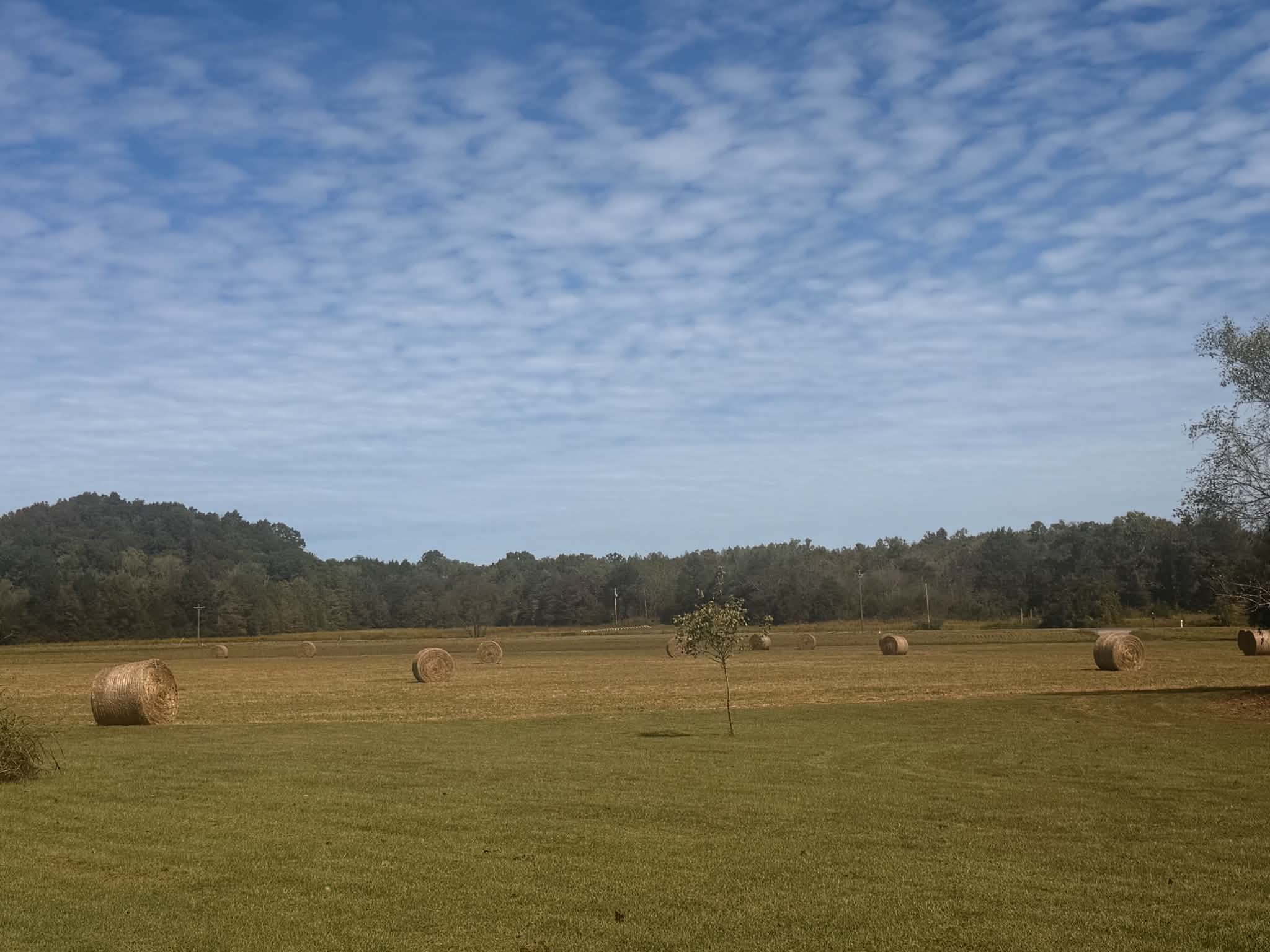 261 Bee Road, Prospect, TN 38477 — photo 3