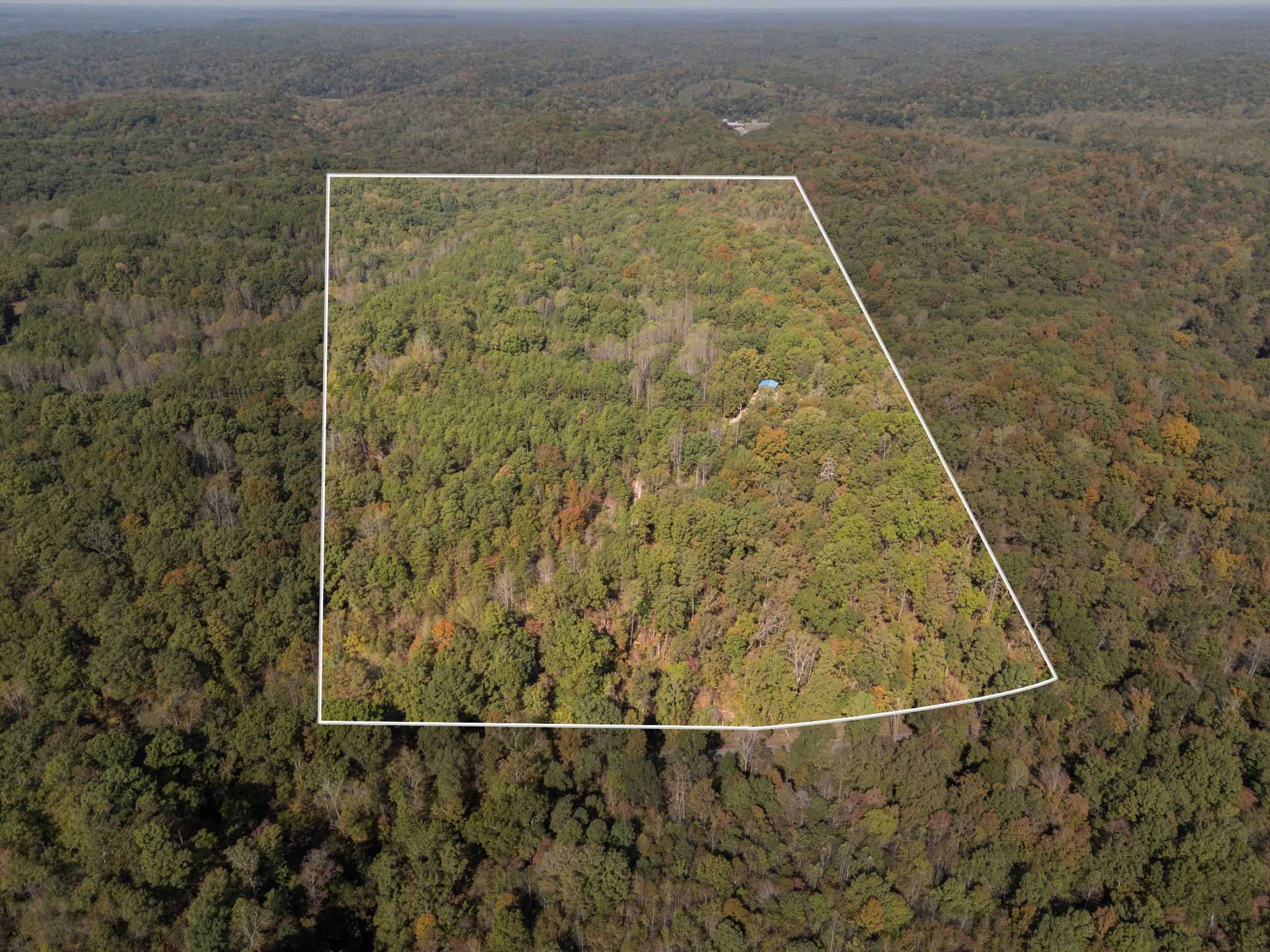 3918 Only Road, Only, TN 37140 — photo 2