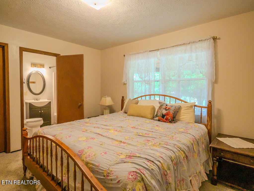275 Spring Creek Road, Delano, TN 37325 — photo 3