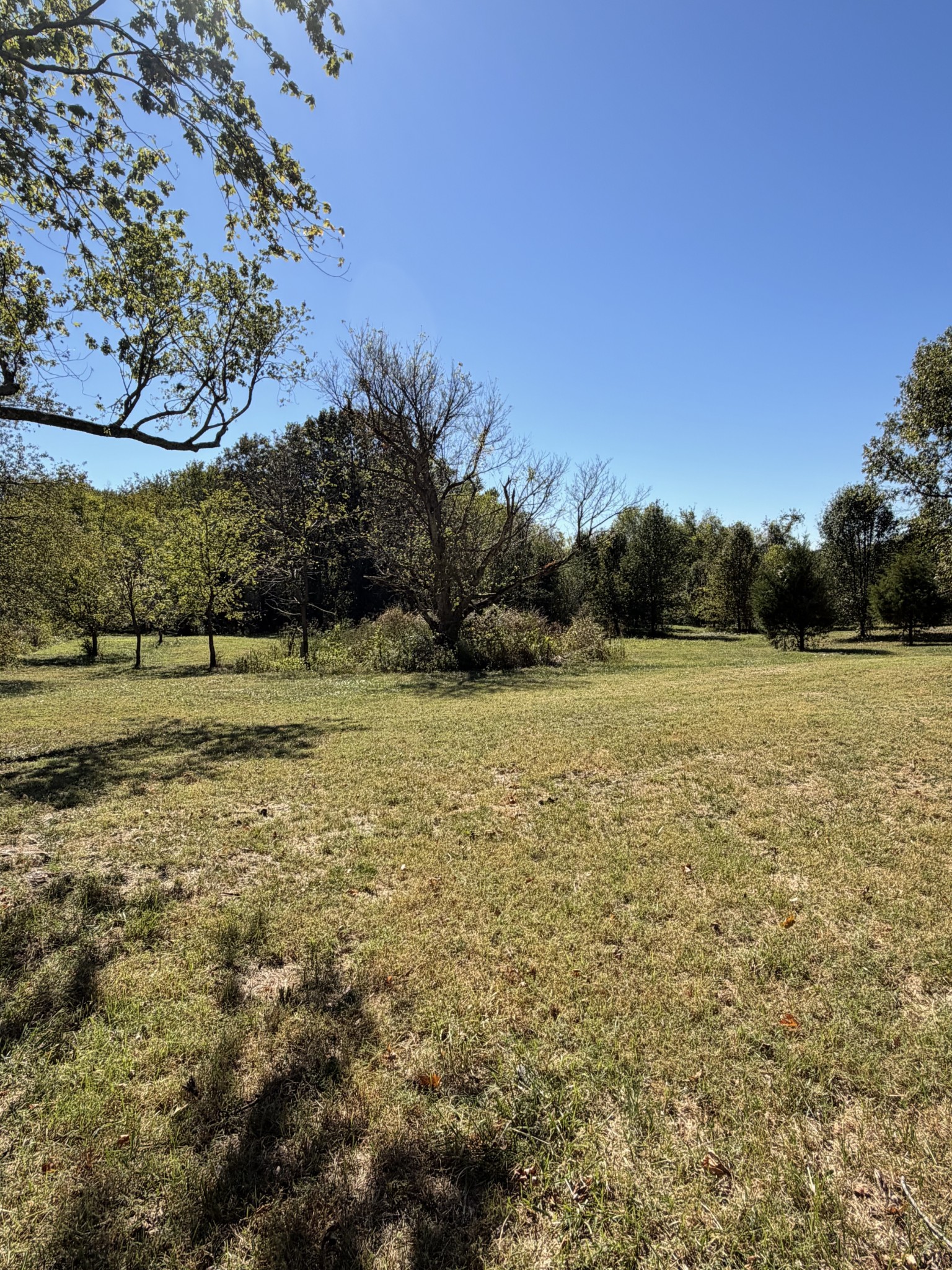 4030 Armstrong Road, Springfield, TN 37172 — photo 2