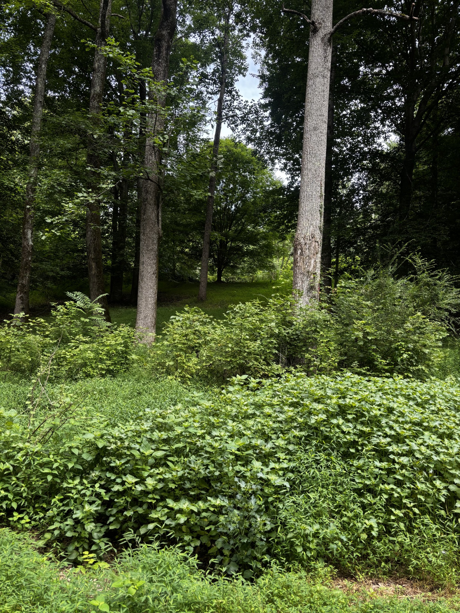 420 Shepherd Hollow Rd — photo