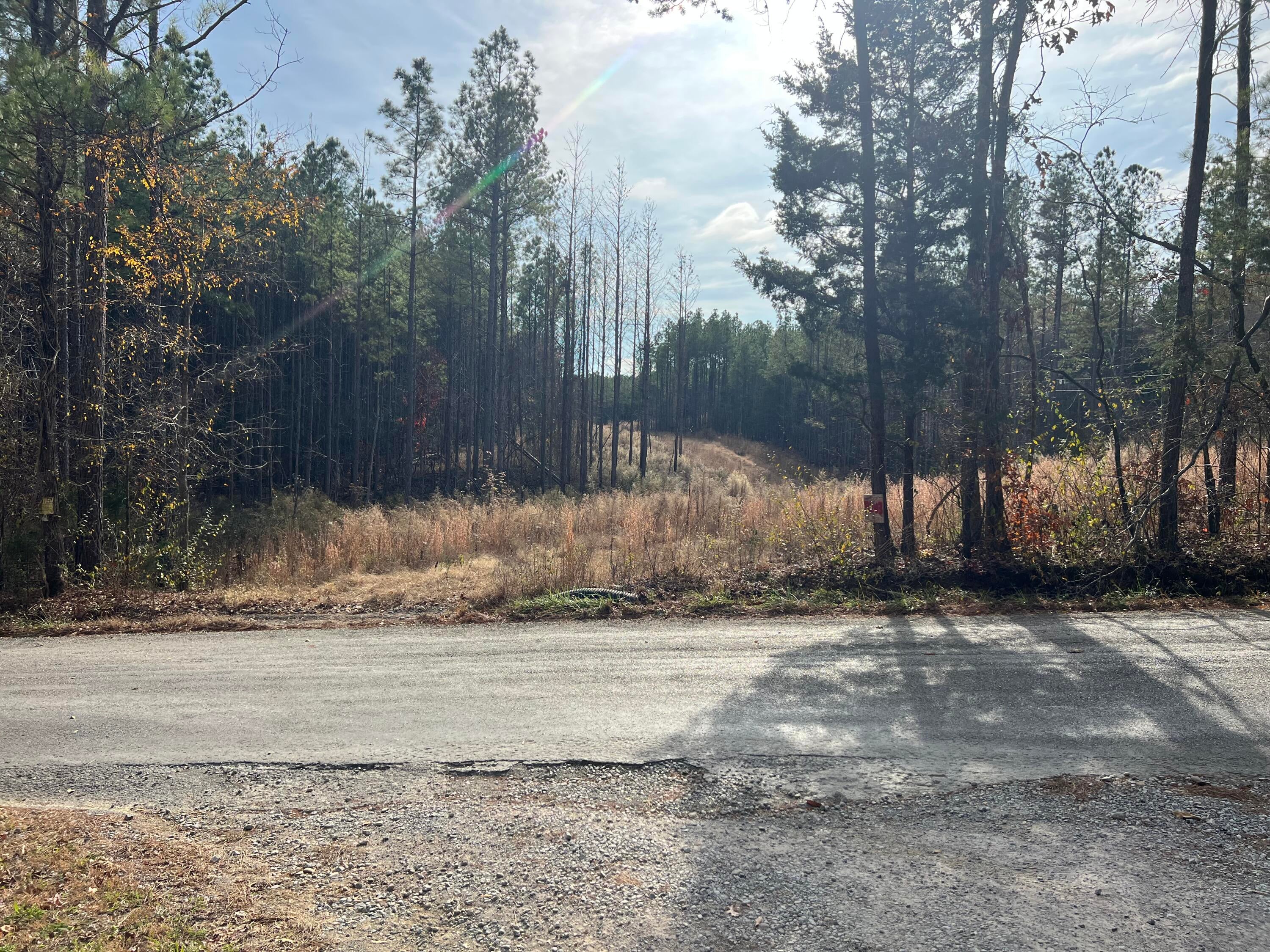 3203 Armstrong Ferry Road, Decatur, TN 37322 — photo 2
