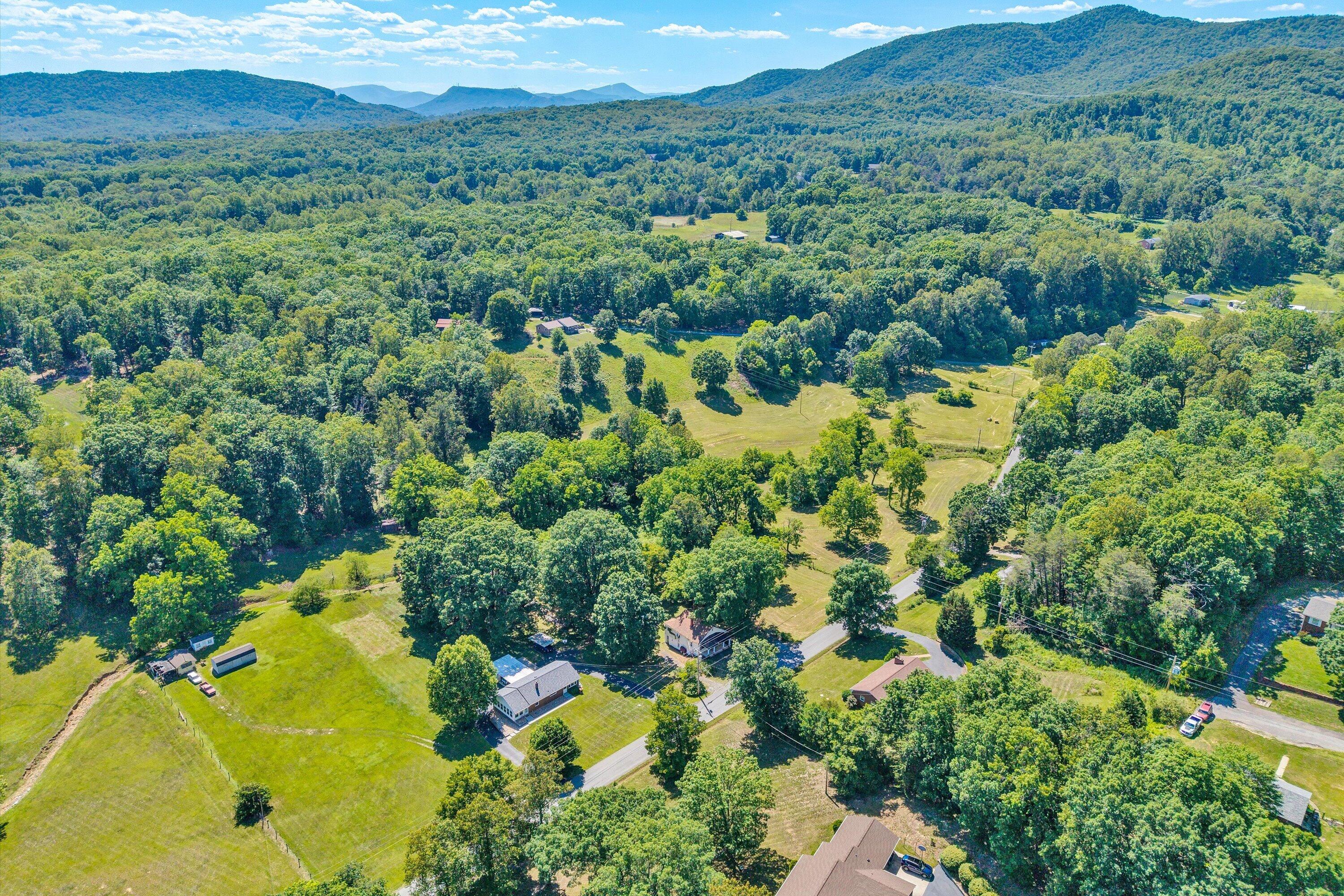 2241 Blue Ridge Springs RD, Blue Ridge, VA 24064 — photo 3