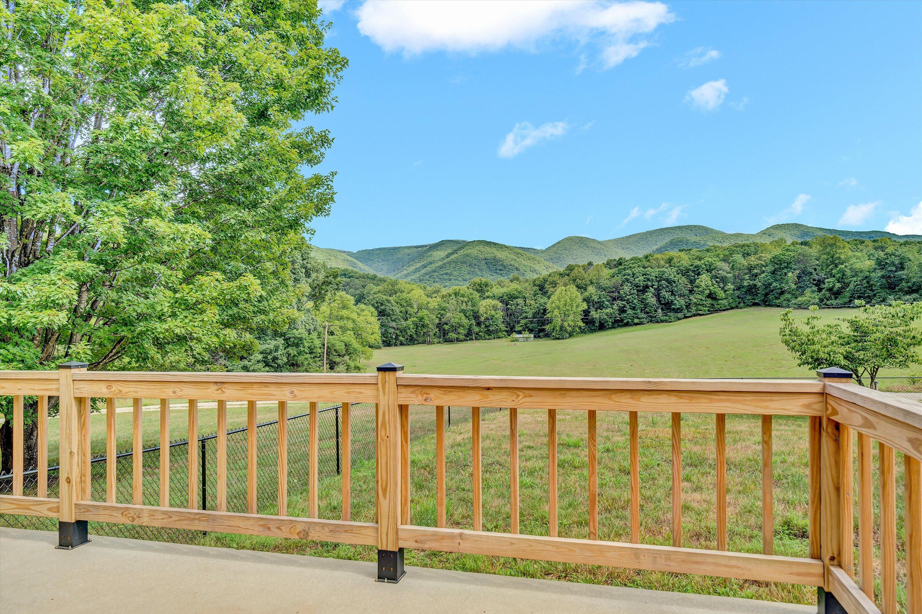 56 Spec Mine RD, Buchanan, VA 24066 — photo 3