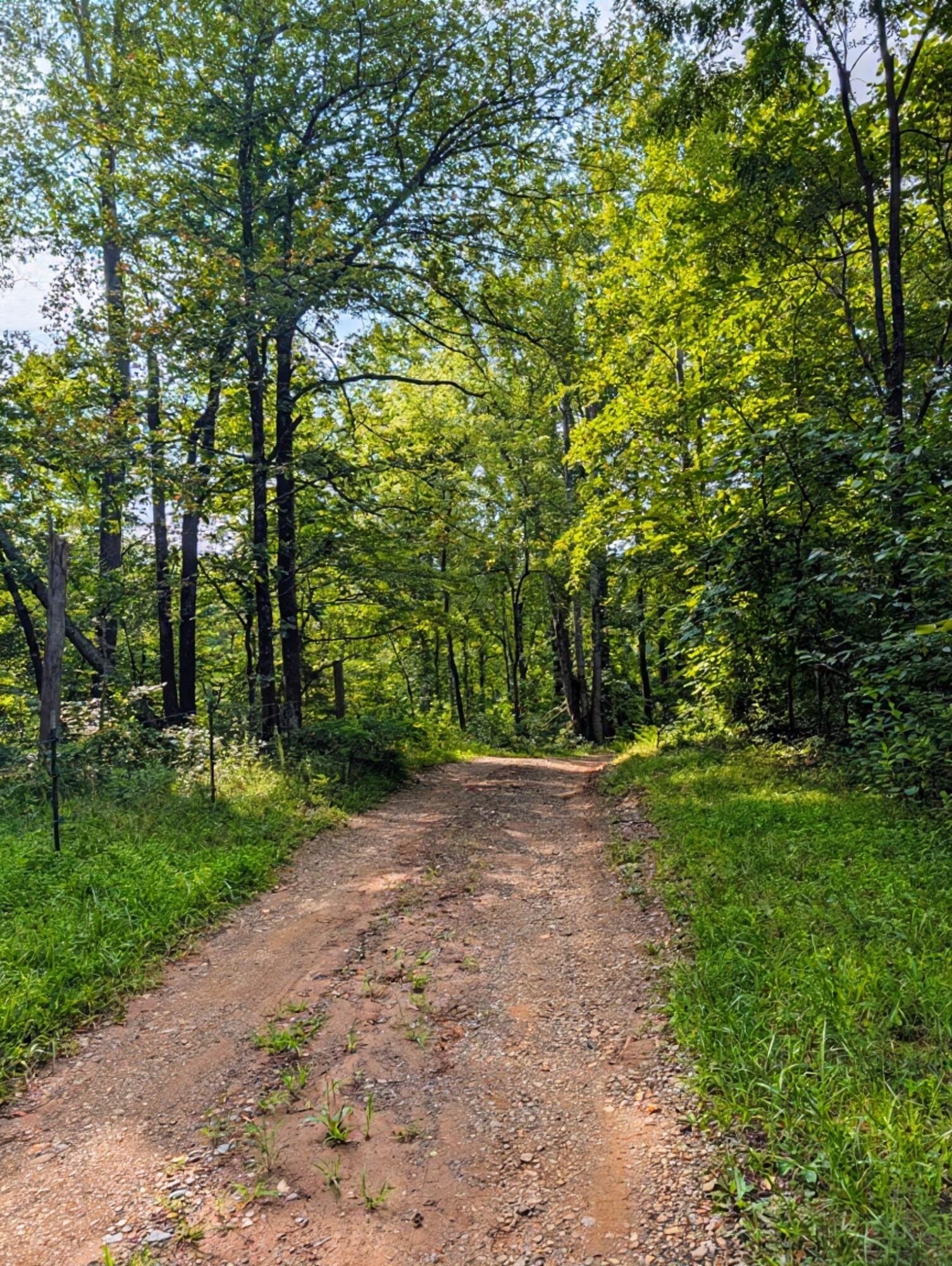 462 Rock Ridge RD, Callaway, VA 24067 — photo 2