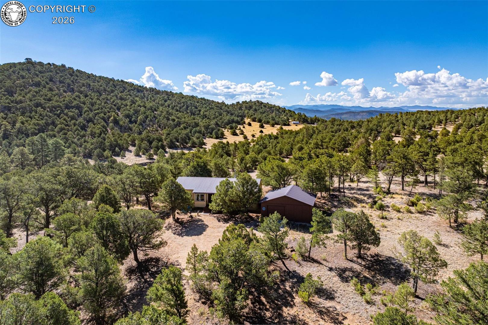 356 Iron Mountain Lane, Cotopaxi, CO 81223 | Realty.com