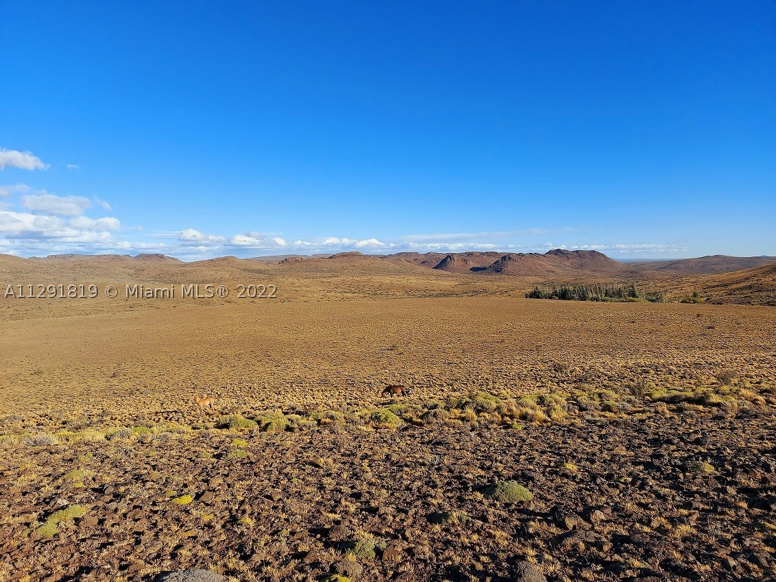 La Patagonia Tehuelches Provincia Del Chubut Argentina — photo