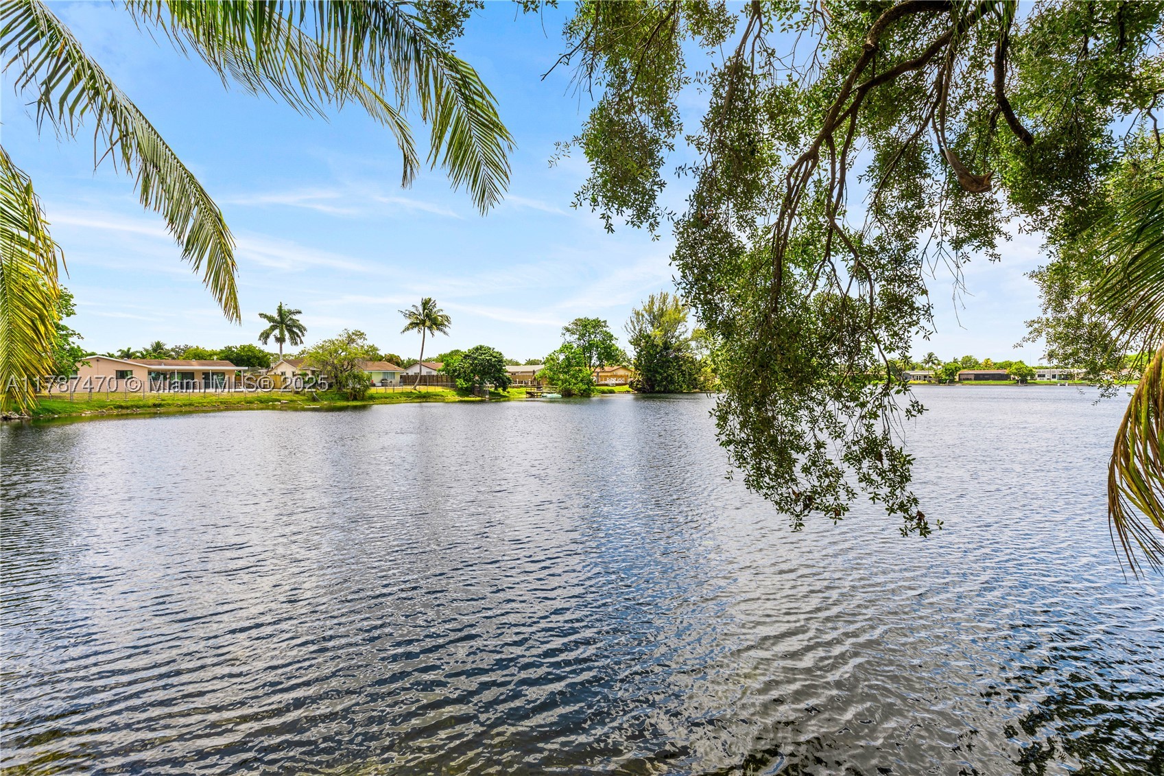 8956 Palm Tree Ln 8956 — photo
