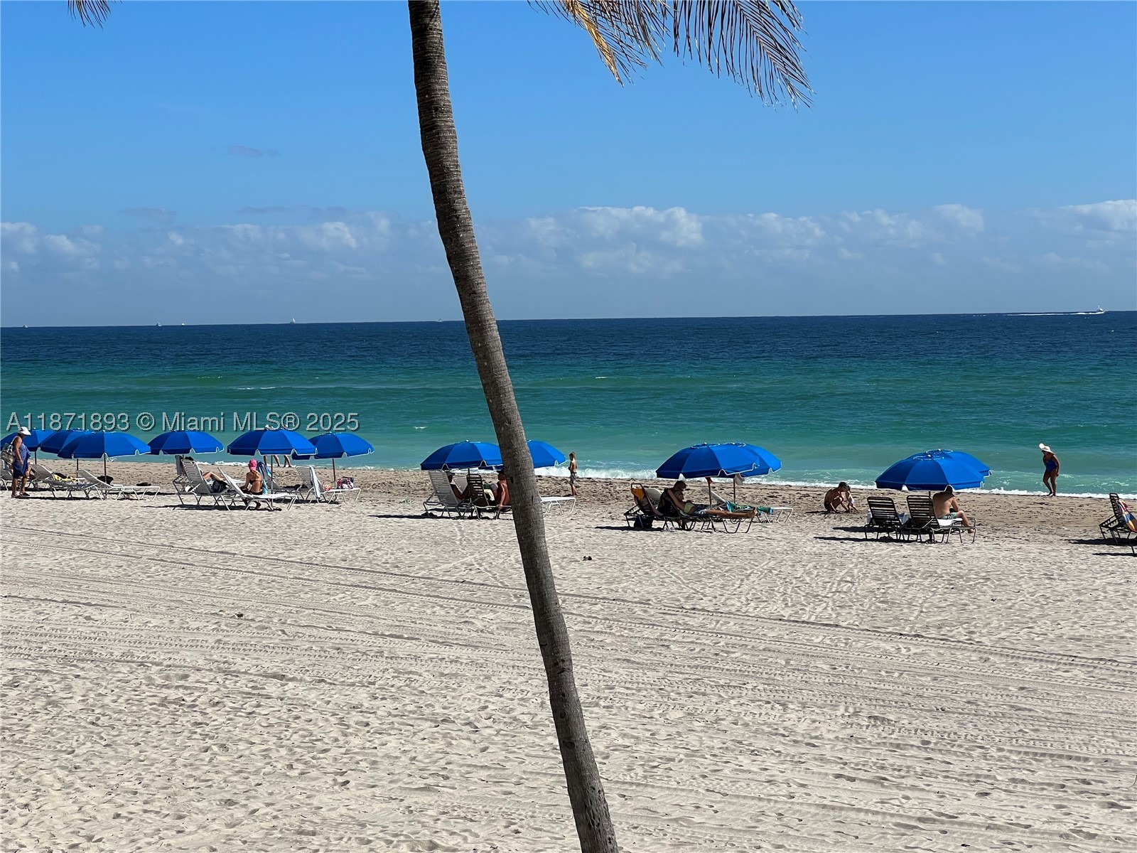 2301 S Ocean Dr 506 — photo