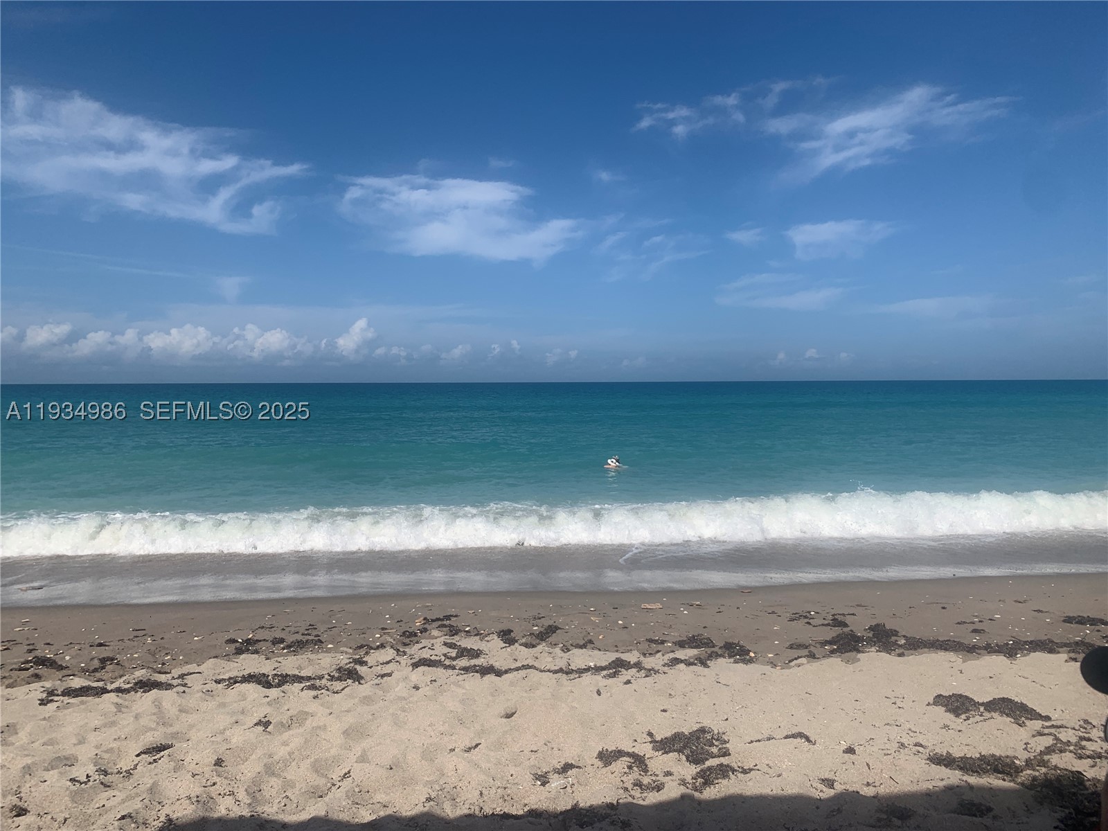 7370 S Ocean Dr 715 — photo