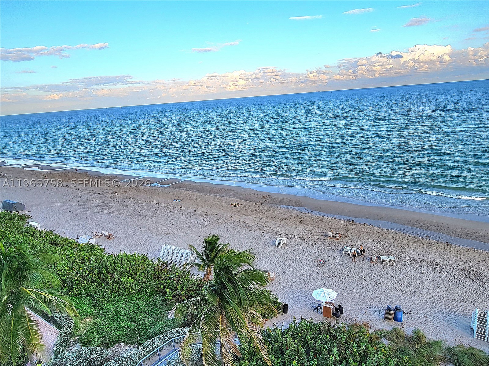 1800 S Ocean Dr 2406 — photo