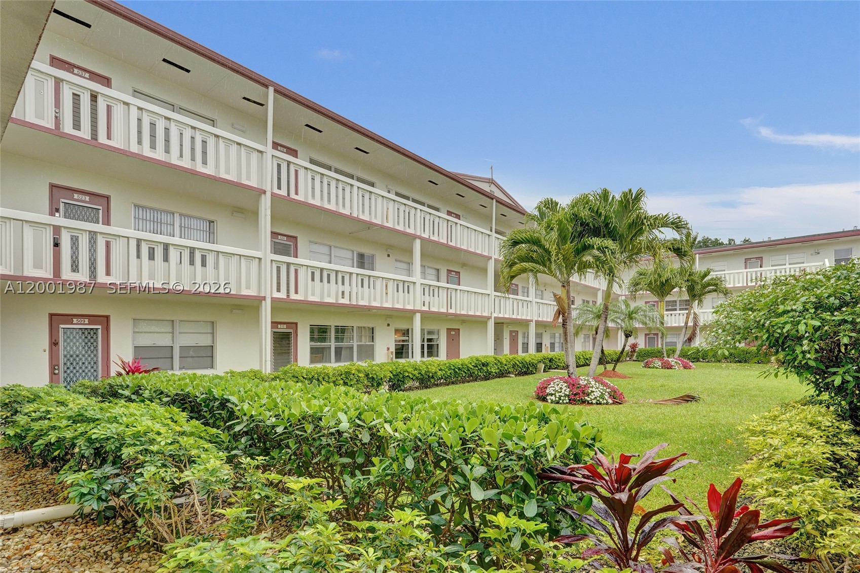 511 Fanshaw M 511 — photo