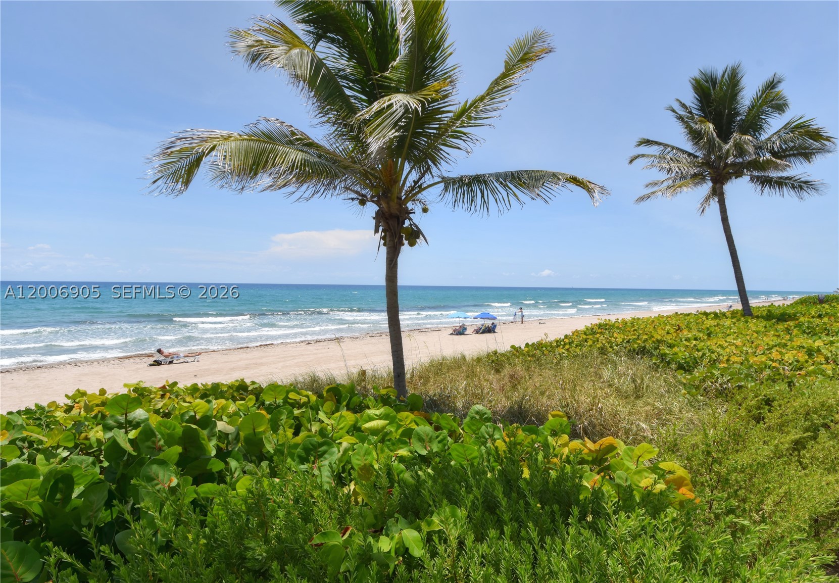 3101 S Ocean Blvd 118 — photo