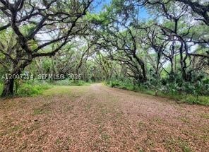 1040 Kirby Thompson Road, Other, FL 33935 — photo 2