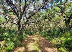 1040 Kirby Thompson Road, Other, FL 33935 — photo 3
