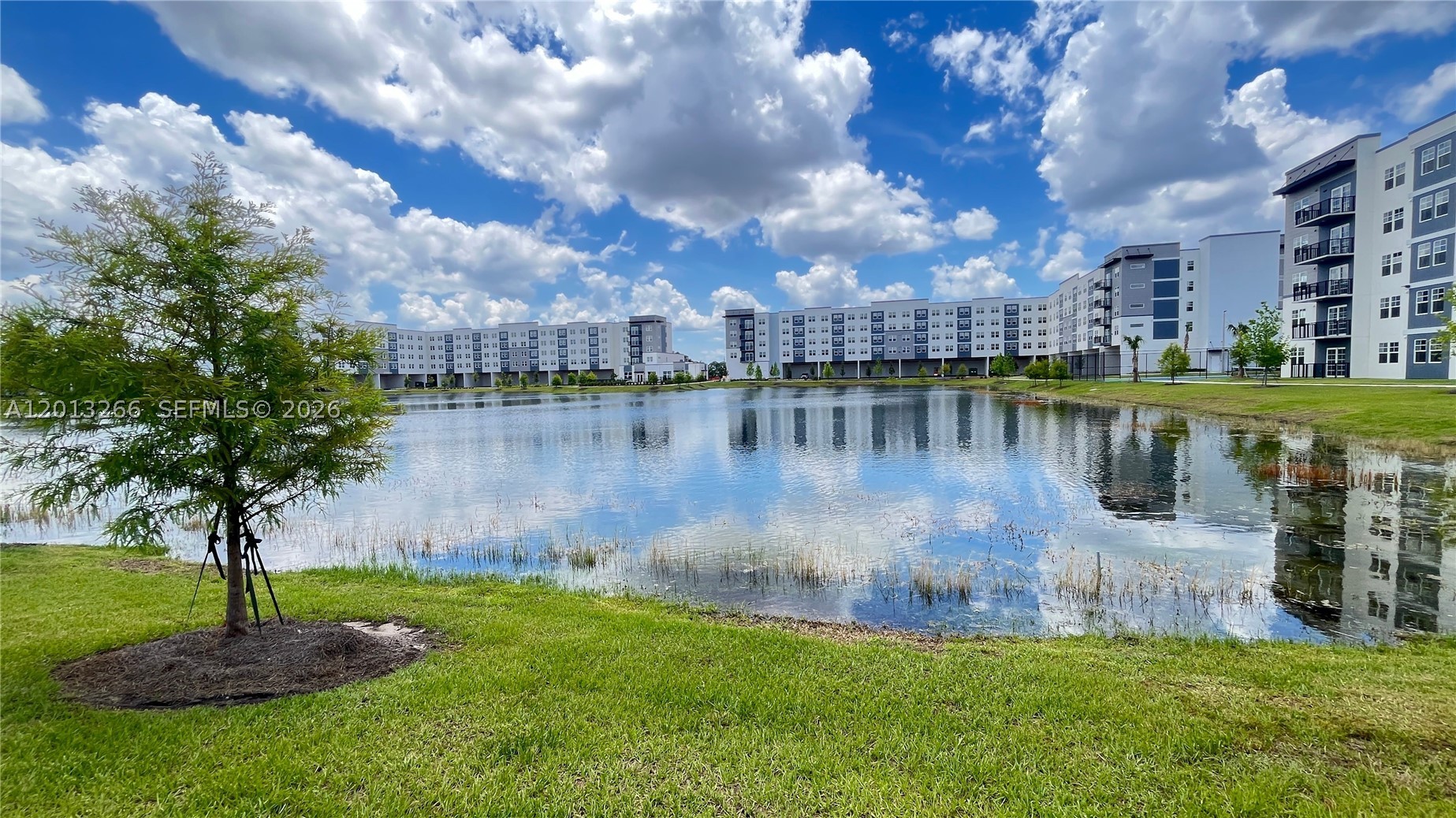 5579 Millenia Park Blvd 318 — photo