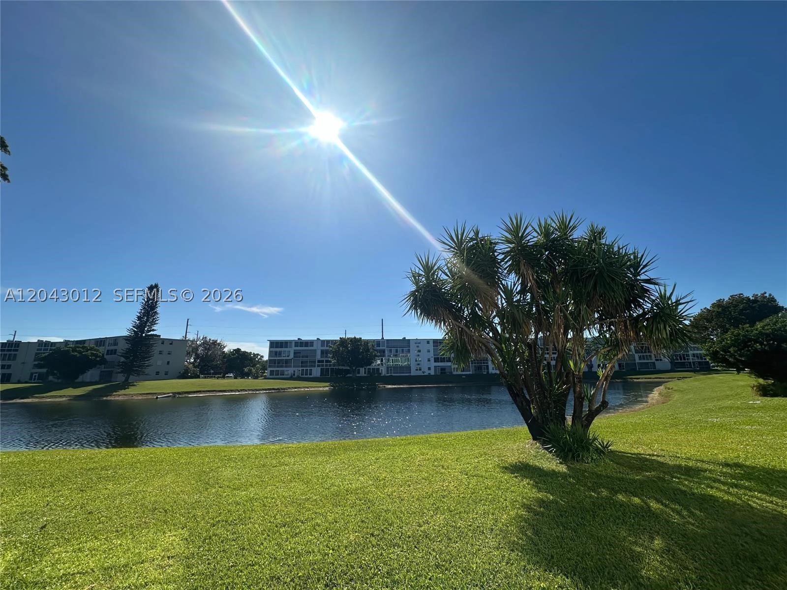 1009 Harwood C 1009 — photo