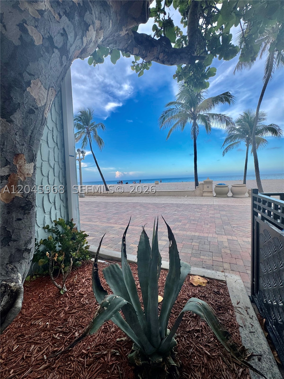 400 N Surf Road #RGB, Hollywood, FL 33019 — photo 2