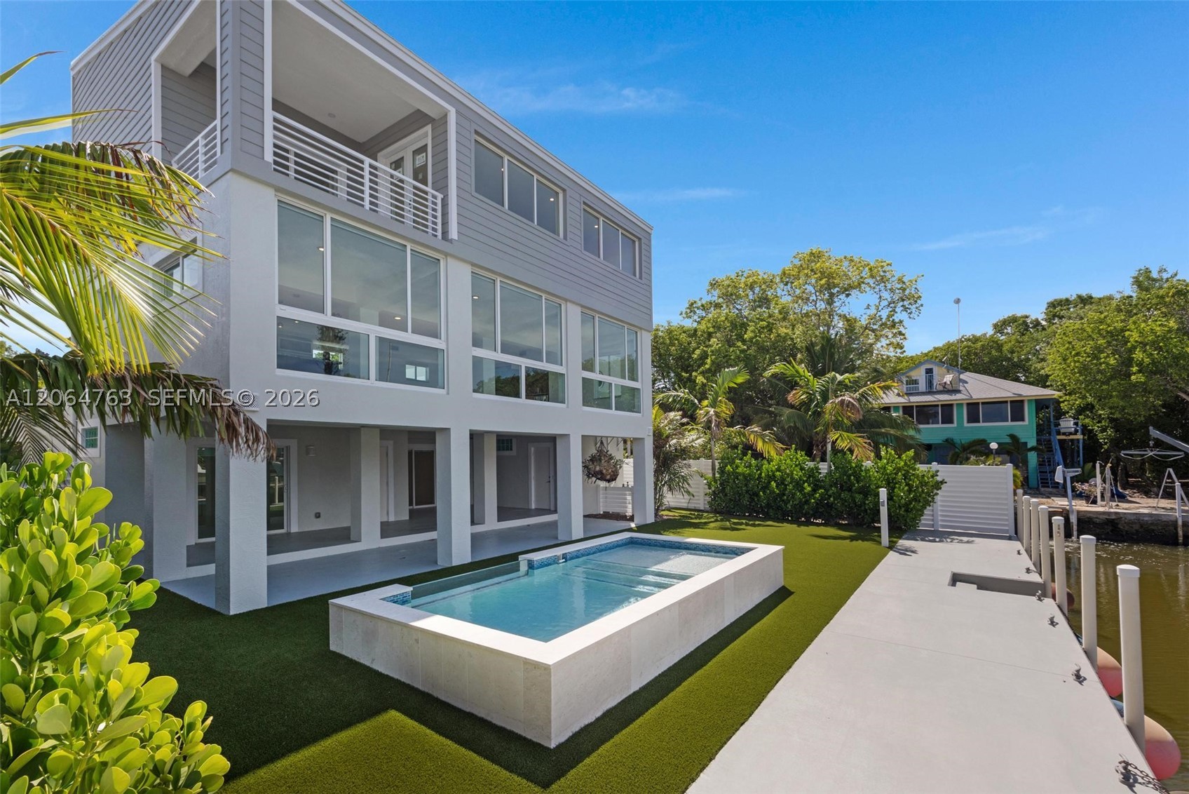 8 Poisonwood — photo