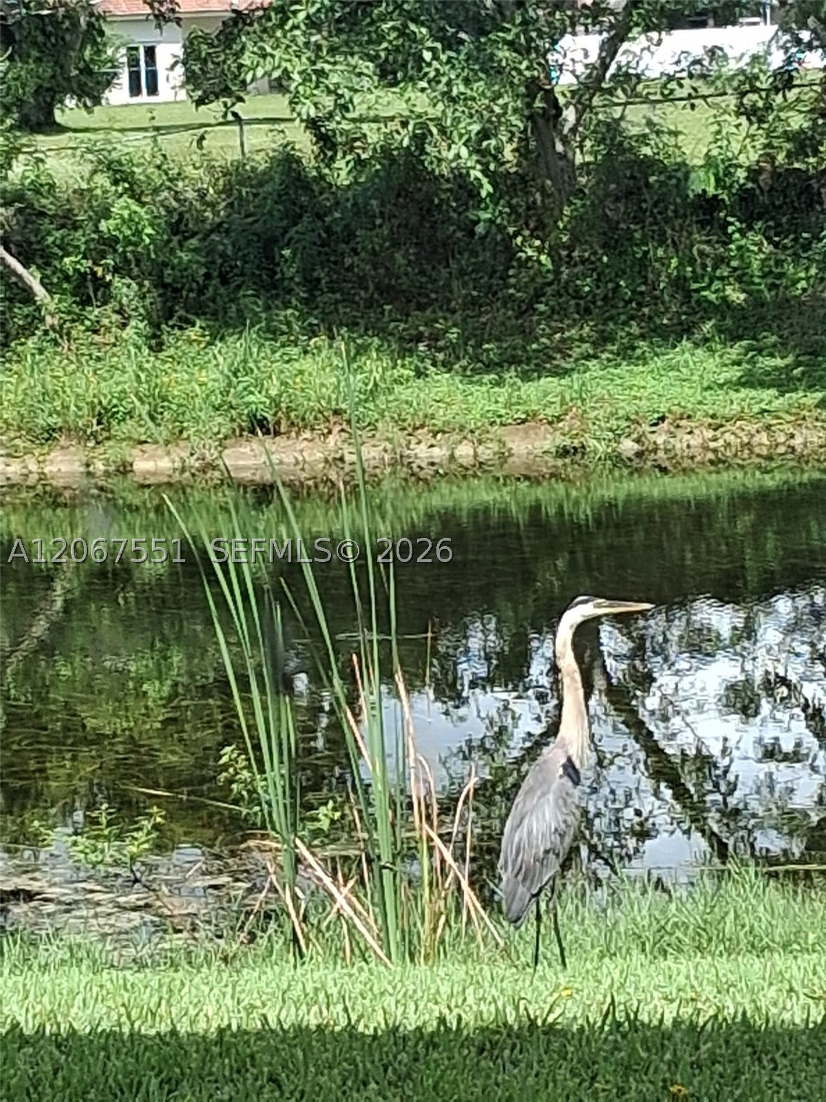 6870 Royal Palm Blvd 111M — photo