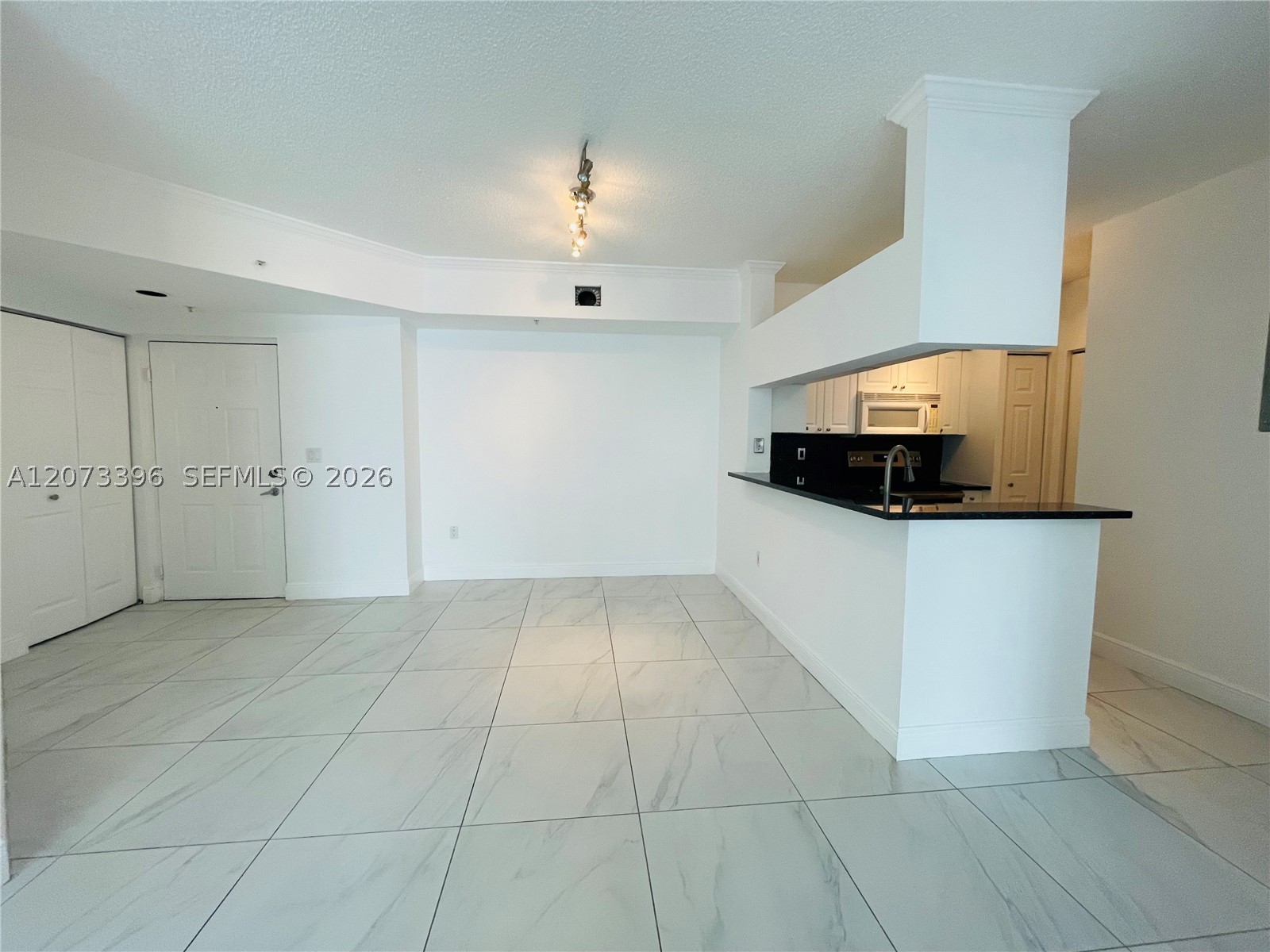 17150 N Bay Rd 2902 — photo