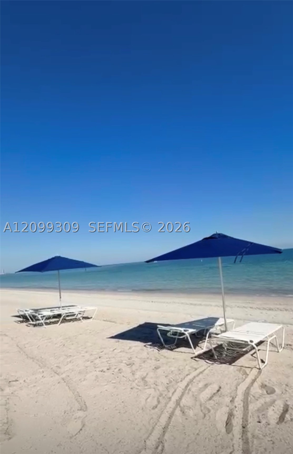 607 Ocean Dr 4K — photo