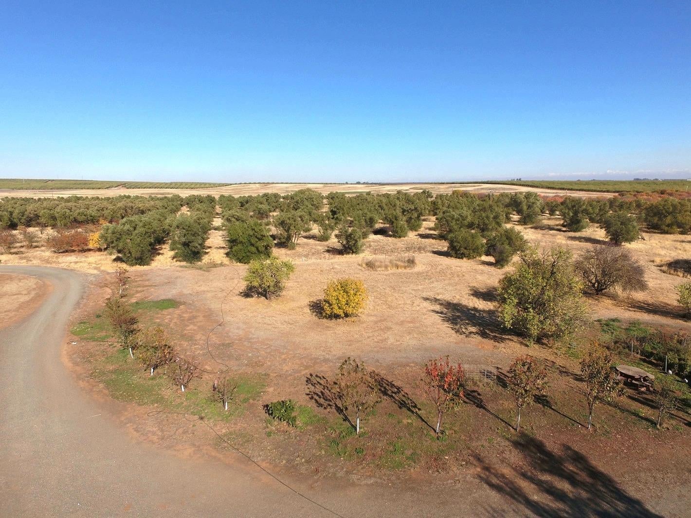 27643 County Road 88 — photo