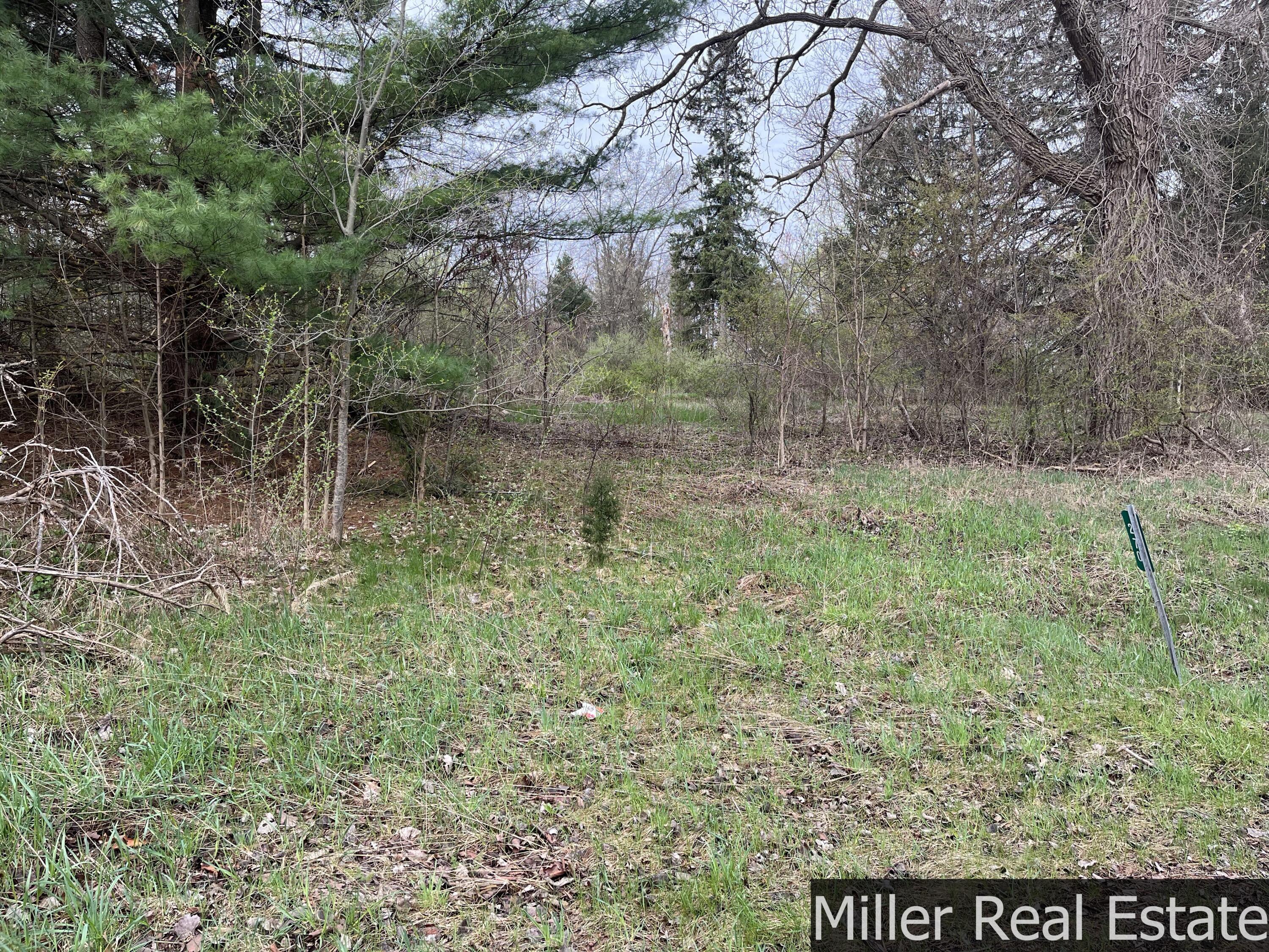 270 S M-37 Highway — photo