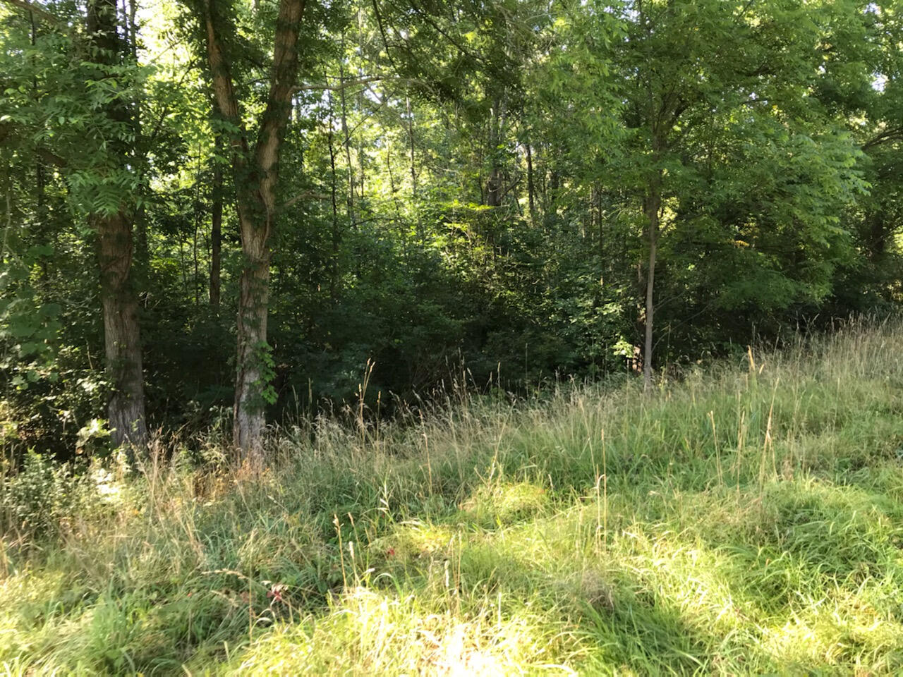 37111 Paw Paw Road — photo