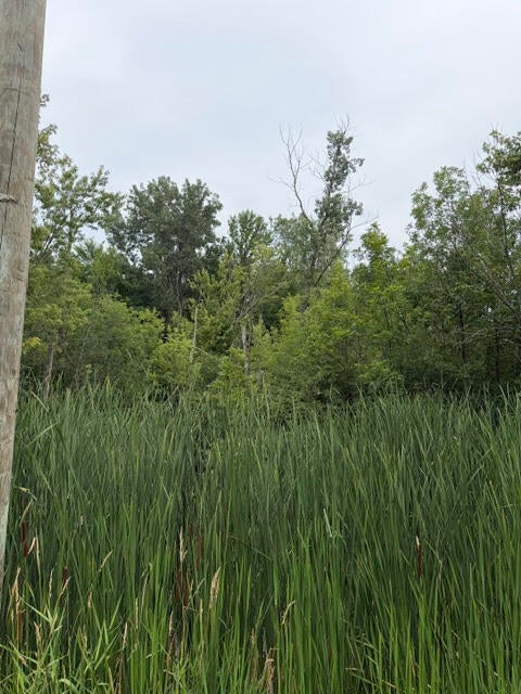 W. Linco Road - Parcel #3-C — photo