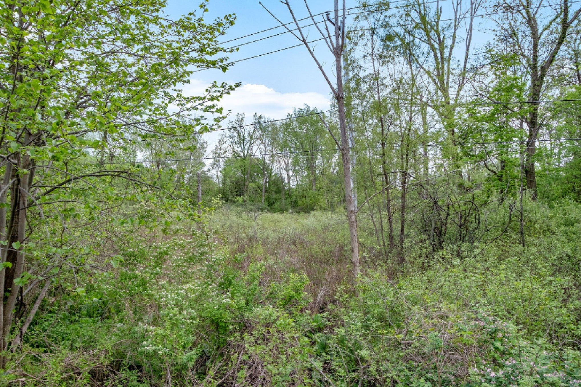 3450 E Kilgore Road — photo