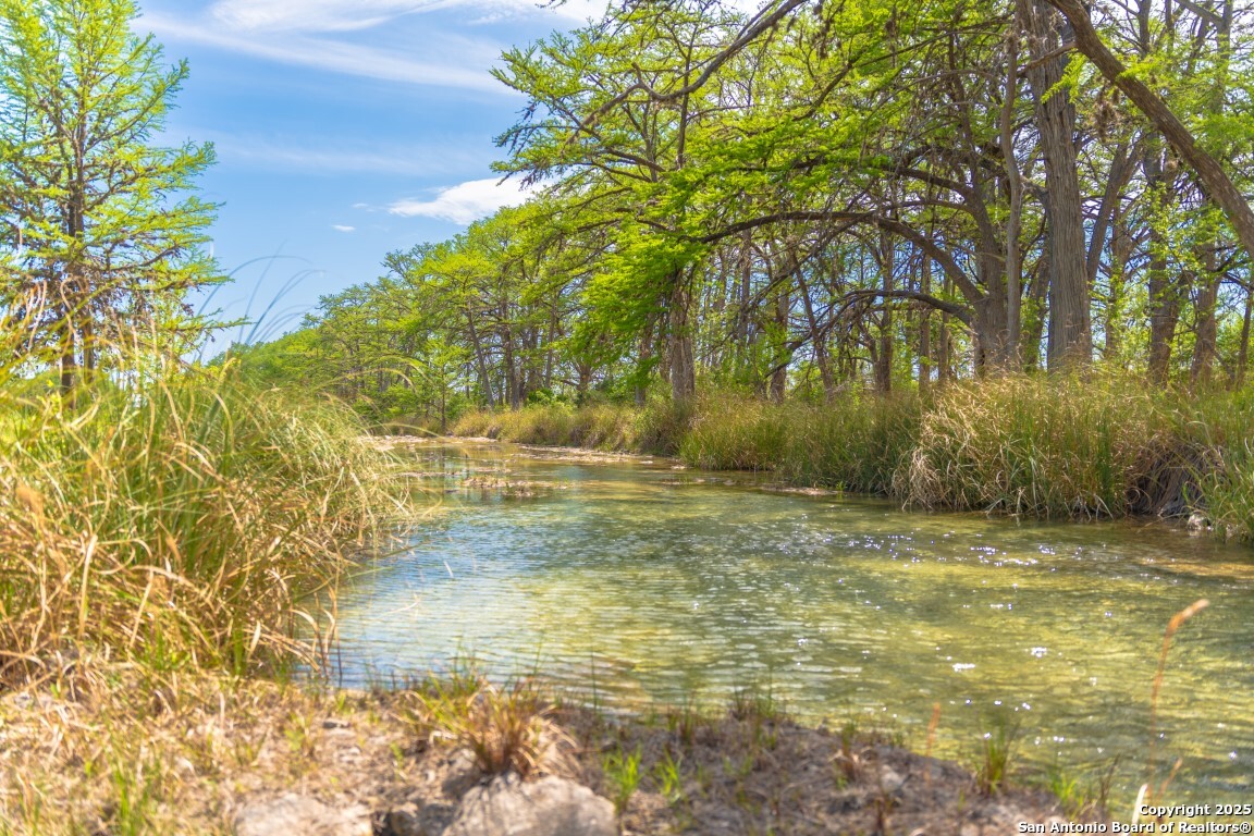 950 River Road, Utopia, TX 78884 — photo 2